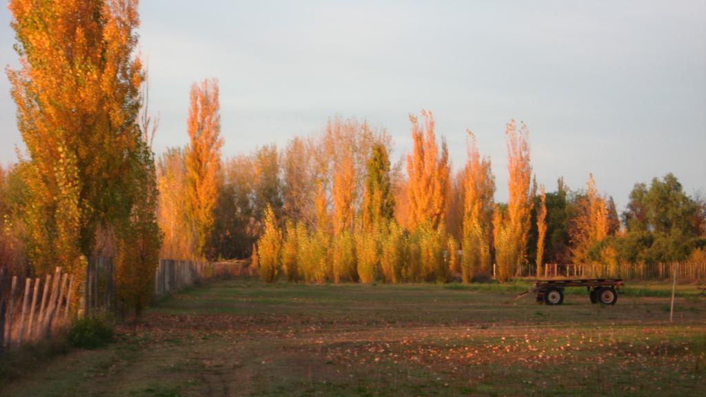 Posada Del Viajero San Rafael Екстер'єр фото
