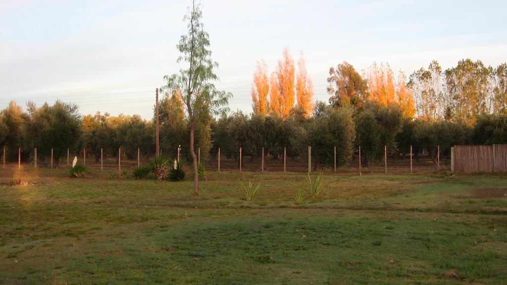 Posada Del Viajero San Rafael Екстер'єр фото