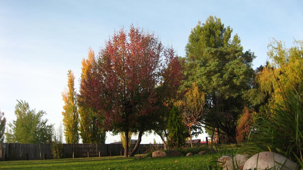Posada Del Viajero San Rafael Екстер'єр фото