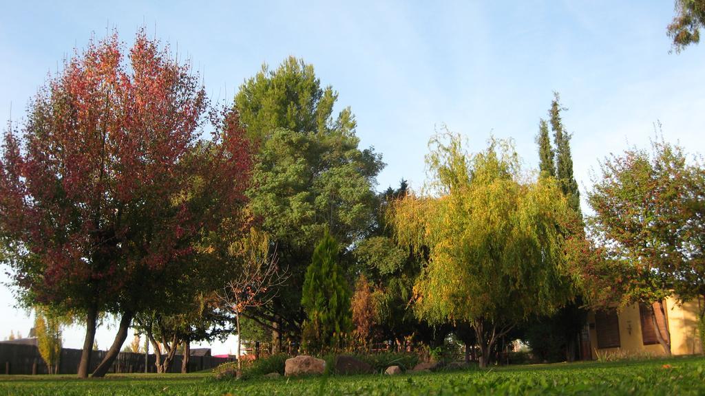 Posada Del Viajero San Rafael Екстер'єр фото