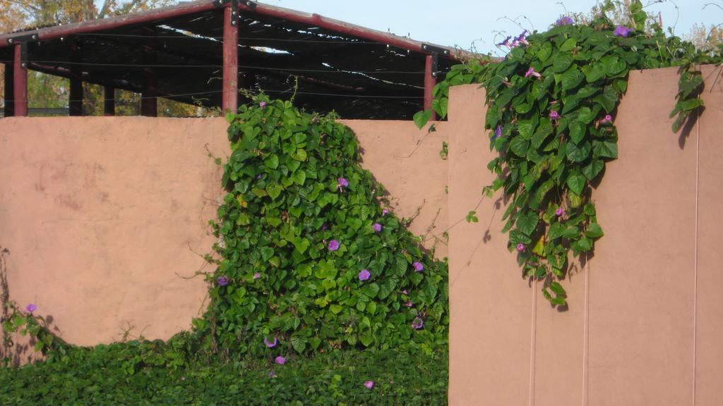 Posada Del Viajero San Rafael Екстер'єр фото