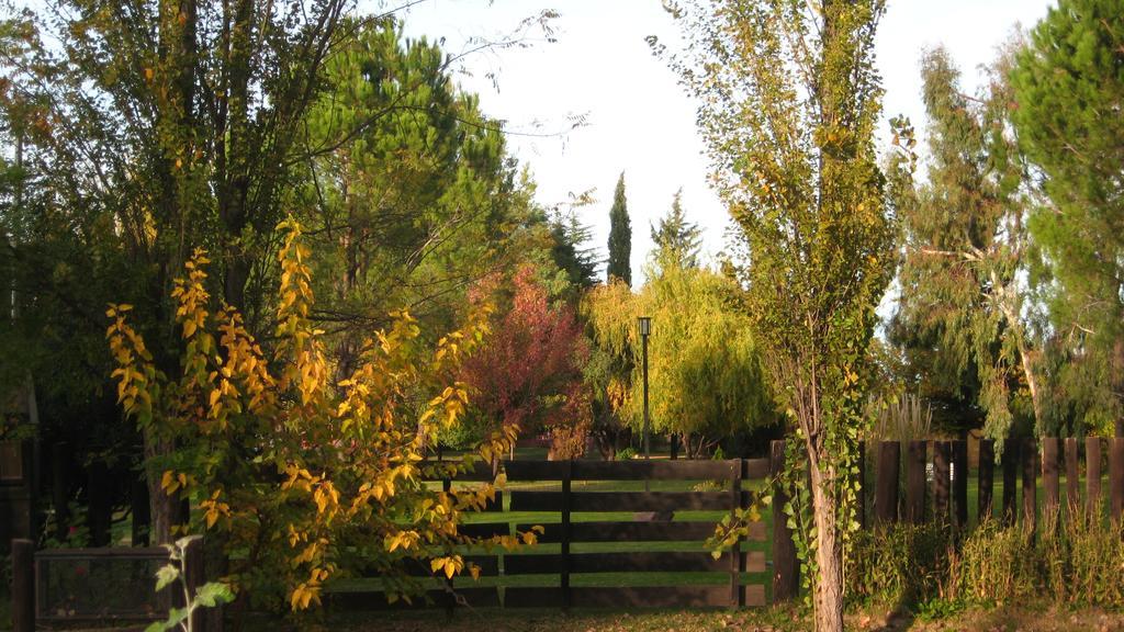Posada Del Viajero San Rafael Екстер'єр фото